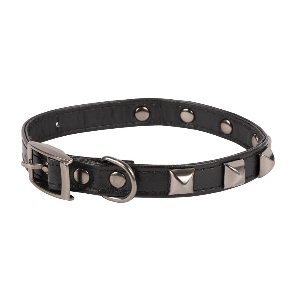 Vibrant Life Studded Fashion Dog Collar, Black, XSmall