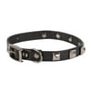 Vibrant Life Polyurethane & Leather Studded Fashion Dog Collar, Black, XS