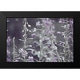 thumbnail image 2 of Davis Ashley 24x17 Black Modern Framed Museum Art Print Titled - Lavender bushes, 2 of 5