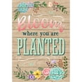 thumbnail image 2 of Bloom Where You Are Planted Positive Poster - Deco: Charts, Posters, 2 of 2