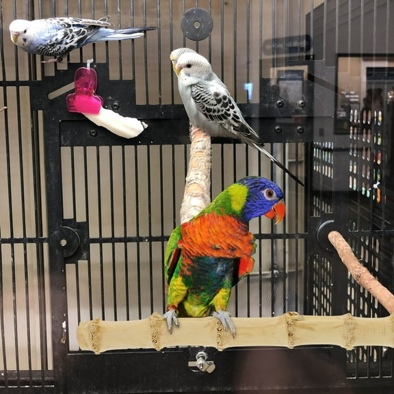CRILSTYLEO Parrot Bamboo Perch Multi-Use Design Parrot Owners 1Pcs 1x11.4in