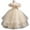 Champagne, variant on LWavelet Little Girls Flower High Low Tulle Dress Princess Wedding Pageant Birthday Party Formal Evening Dance Ball Gown