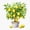 1pcs, variant on Lemon Tree Watercolor Art Er, Phone Decal Water Bottle Stickers Car Decals, Funny Birthday Gift