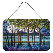 Carolines Treasures PPD3022DS812 Tanzanite River Wall or Door Hanging Prints  8x12 multicolor