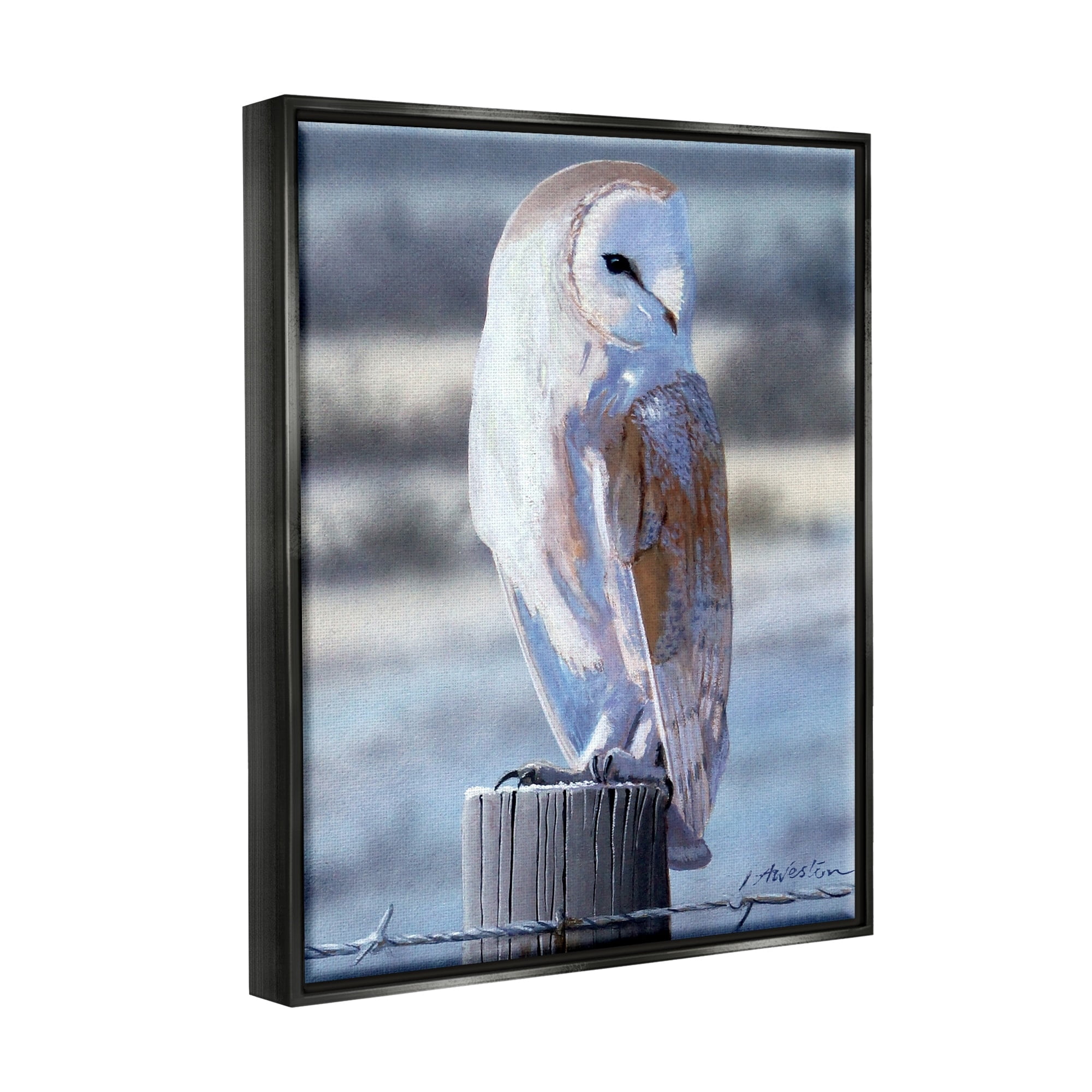 Stupell Industries Serene Barn Owl Perched Snow Dusted Fence Photograph Jet Black Floating Framed Canvas Print Wall Art, Design by Alan Weston