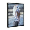 thumbnail image 2 of Stupell Industries Serene Barn Owl Perched Snow Dusted Fence Photograph Jet Black Floating Framed Canvas Print Wall Art, Design by Alan Weston, 2 of 5