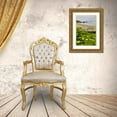 thumbnail image 3 of Carter, Jean 23x32 Gold Ornate Wood Framed with Double Matting Museum Art Print Titled - OR, Ecola SP Cow parsnip near Indian Beach, 3 of 4