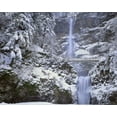 thumbnail image 2 of Terrill, Steve 32x26 Gold Ornate Wood Framed with Double Matting Museum Art Print Titled - OR, Columbia Gorge Winter at Multnomah Falls, 2 of 4