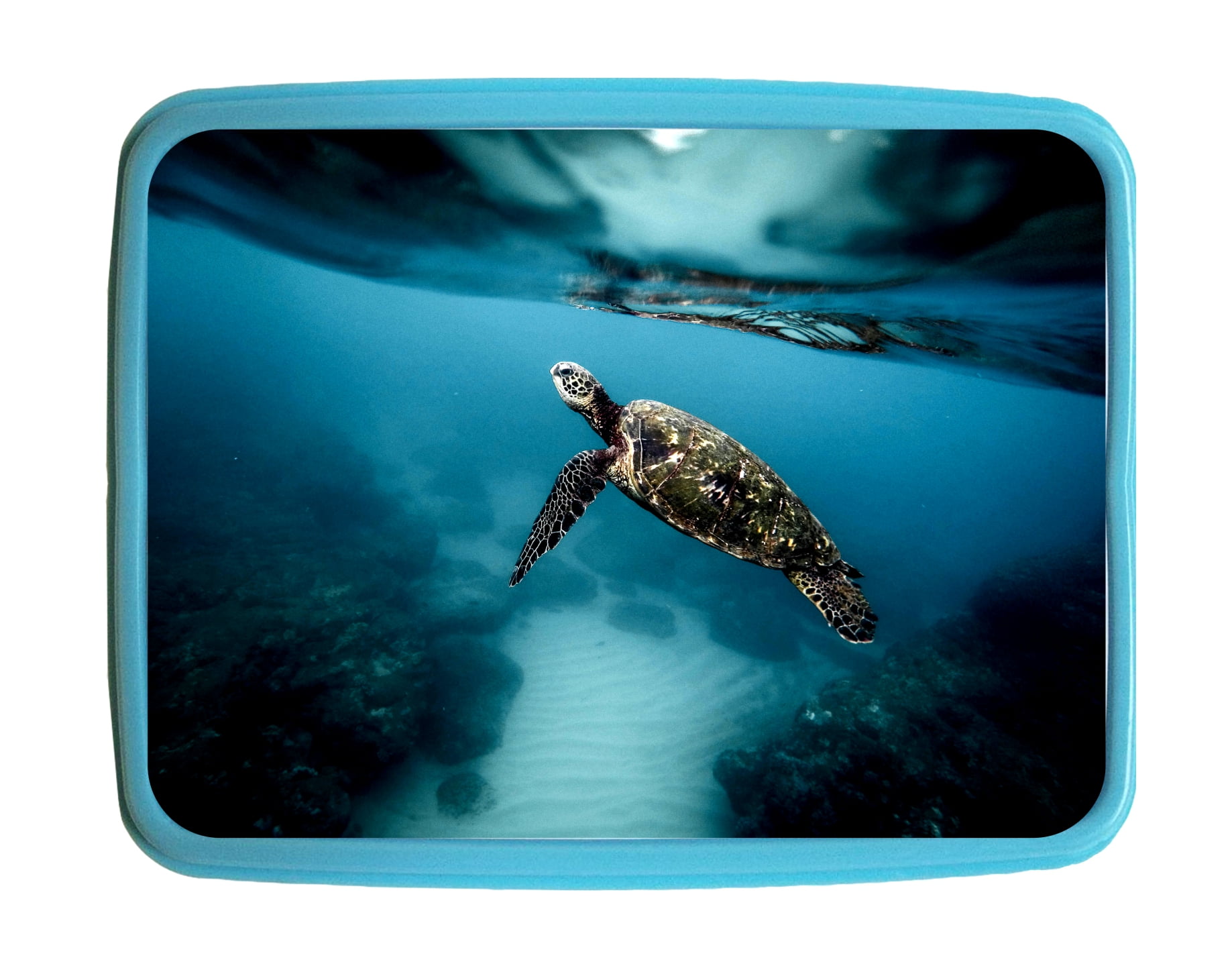Lunchbox Pets Turtle Underwater Kids Bento Lunch Box With 3 Compartment Food Container Walmart Com Walmart Com