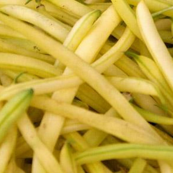 Organic Golden Wax Bean 1/2 OZ ~45 Seeds - Organic Heirloom Open Pollinated Non-GMO Farm & Vegetable Gardening Seeds
