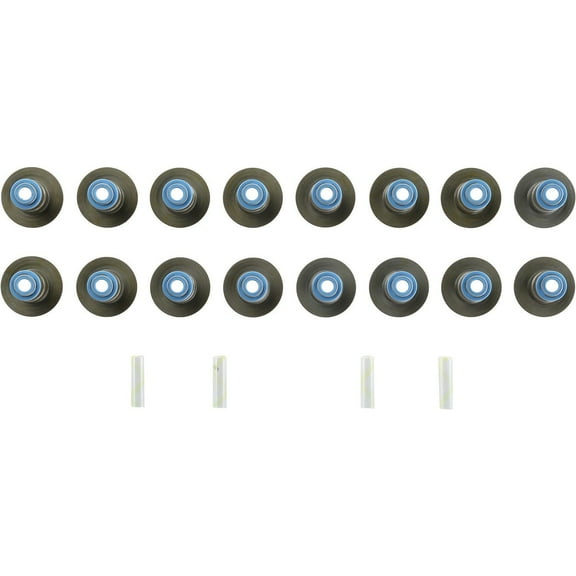 Victor Reinz 12-10254-01 Engine Valve Stem Oil Seal Set