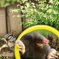 thumbnail image 4 of Bonide Mole Max Mole & Gopher Repeller Solar Powered Sonic Spike, 1 Unit, 4 of 8
