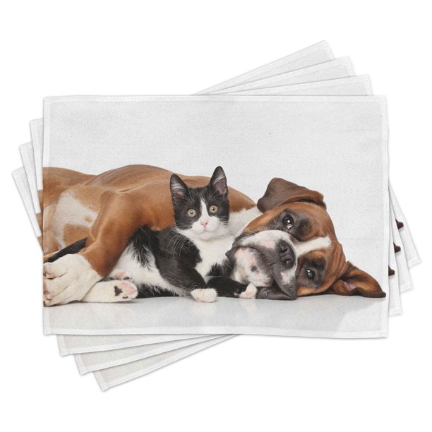 Funny Placemats Set of 4 Cat and Dog Cuddling Lying on Floor Friendship