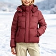 thumbnail image 3 of Owordtank Girls Detachable Hood Puffer Jacket Zip Up Warm Insulated Short Winter Coat Outerwear, 3 of 6