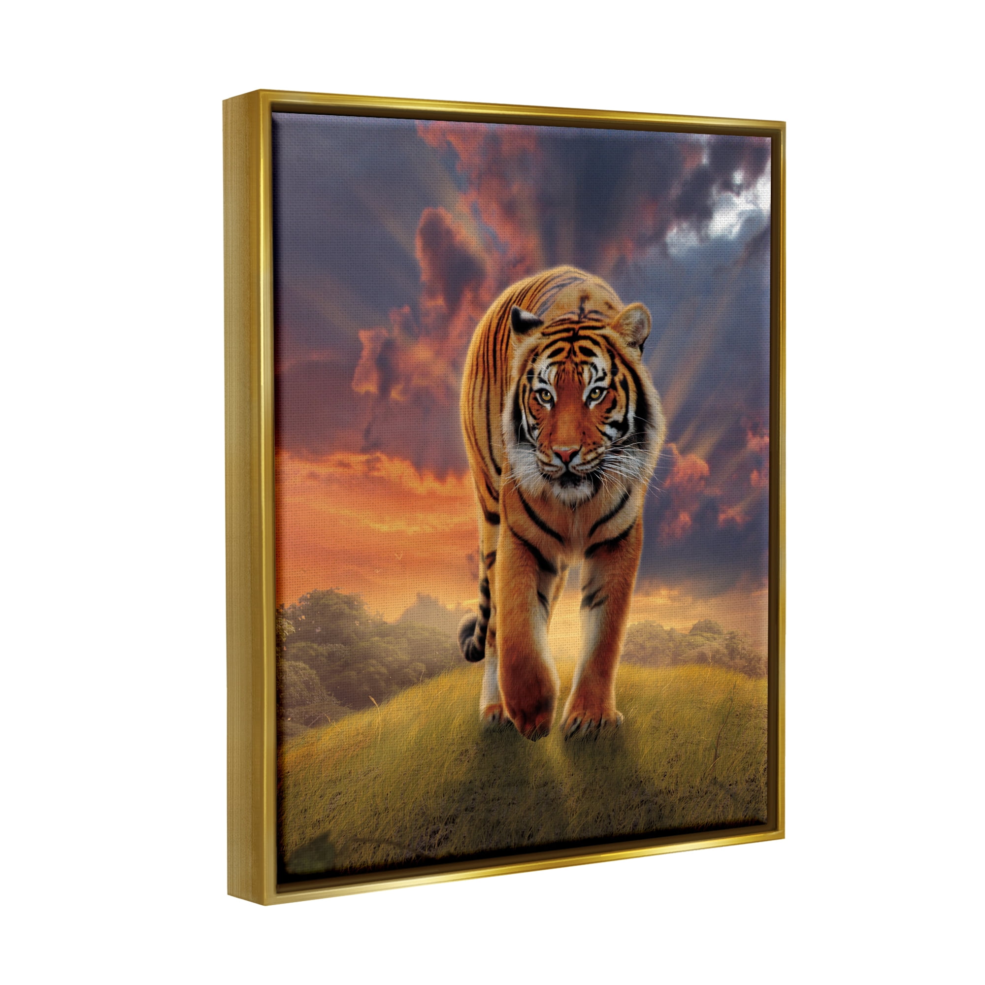 Stupell Industries Rising Tiger Sunset Animals & Insects Painting Gold Floater Framed Canvas Art Print Wall Art, 25 x 31
