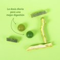 thumbnail image 4 of Bappy - Fibra - Gomitas, Apoyo Digestivo, Salud Intestinal, Sabor T&eacute; Verde y Jugo Verde, Fibra Inulina, 100% Natural y Veganas, Sin Grenetina, Sin Az&uacute;car de Ca&ntilde;a - 60, 4 of 9
