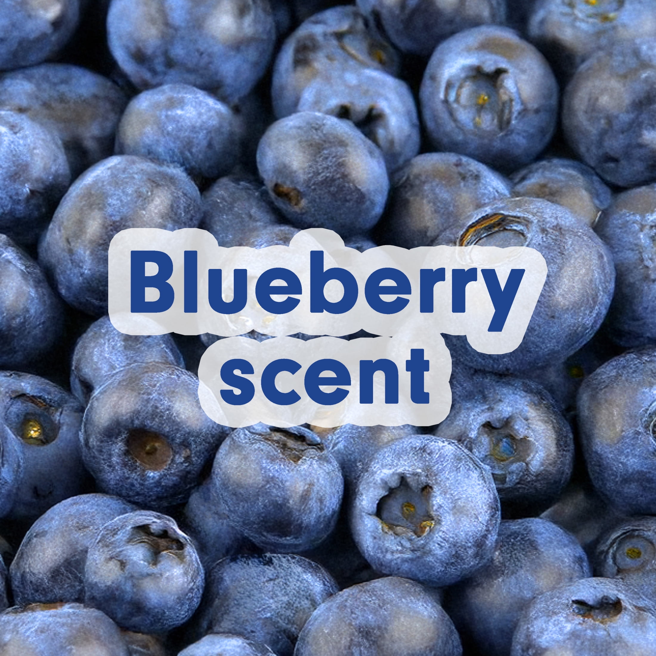 Softsoap Limited Edition Liquid Hand Soap, Blueberry Scent, 7.5 fl oz Pump Bottle