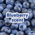 thumbnail image 5 of (6 pack) Softsoap Limited Edition Liquid Hand Soap, Blueberry Scent, 7.5 fl oz Pump Bottle, 5 of 15