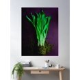thumbnail image 2 of Garlic Plant Poster Wall Art, Modern Wall Decor For Living Room Bedroom, 16x24 UNFRAMED, 2 of 3
