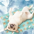 thumbnail image 3 of Tapis Rafraîchissant pour Animaux de Compagnie en Plastique Pliable Tapis de Refroidissement pour Chat Lit d'Été pour Chiot, 3 of 10
