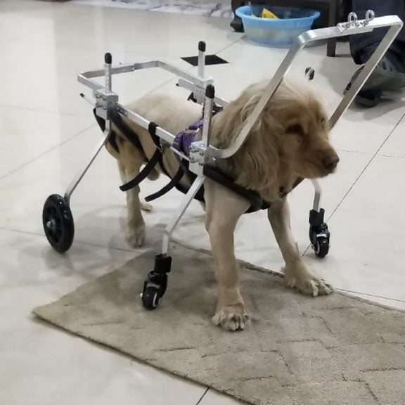 Adjustable 4-Wheel Dog Wheelchair For Front Legs, Mobility Aid & Supportive Stroller For Small & Large Dogs, Elderly, Injured Or Special Needs Pets