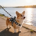 thumbnail image 3 of Harness Chest Strap With Design Breathable Three Layer Adjustable And Secure For Small For Indoor And Outdoor Activities Cat Steps for Older Cats Cat Leg Brace Sweater Small Dogs Female Belly Bands, 3 of 3