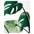 thumbnail image 5 of Wekity Póster impreso en lienzo con composición de hojas de plantas y arte de palabras, decoración de dibujo de arte de moda simple para el hogar, sala de estar, dormitorio, oficina (juego d, 5 of 5