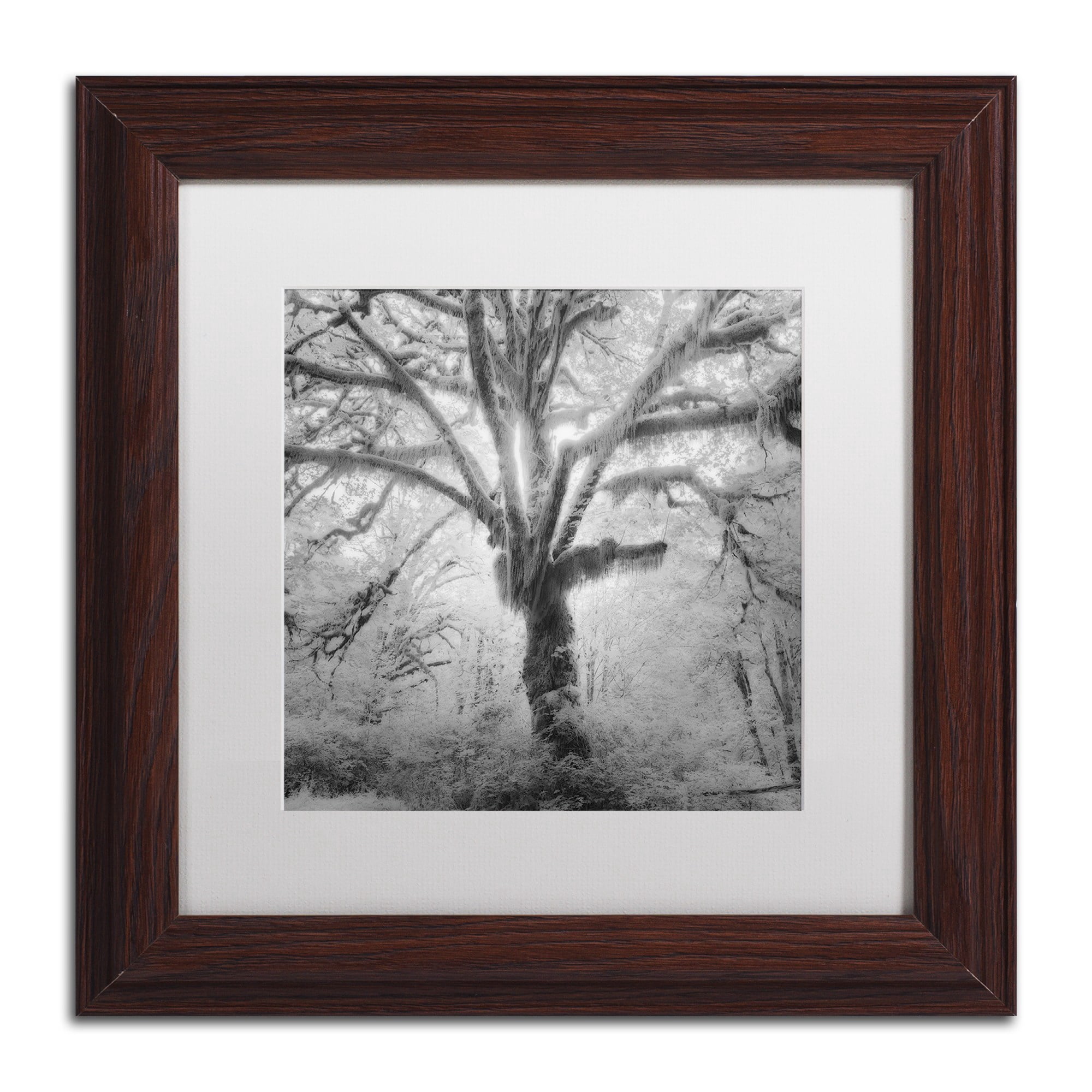 Moises Levy 'Lightning Tree II' Matted Framed Art