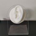thumbnail image 1 of Modelo de oreja de silicona Herramientas de perforación suave Imitación Artificial Reutilizable Parte del cuerpo para la práctica Exhibición de joyas - izquierda Salvador Modelos de oreja de silicona, 1 of 9