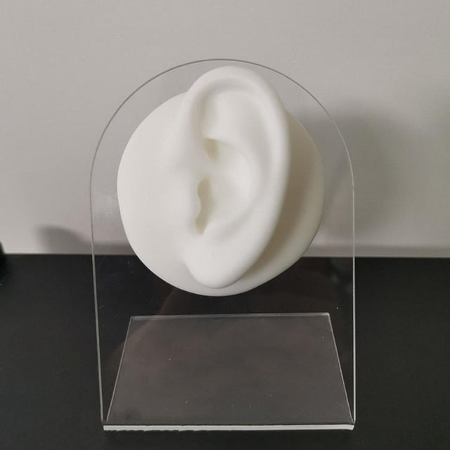 Modelo de oreja de silicona Herramientas de perforación suave Imitación Artificial Reutilizable Parte del cuerpo para la práctica Exhibición de joyas - izquierda Salvador Modelos de oreja de silicona