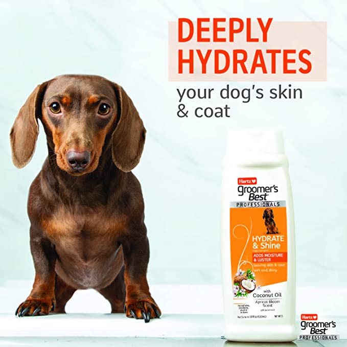 Hartz Groomer's Best Hydrate & Shine Dog Shampoo photo 4