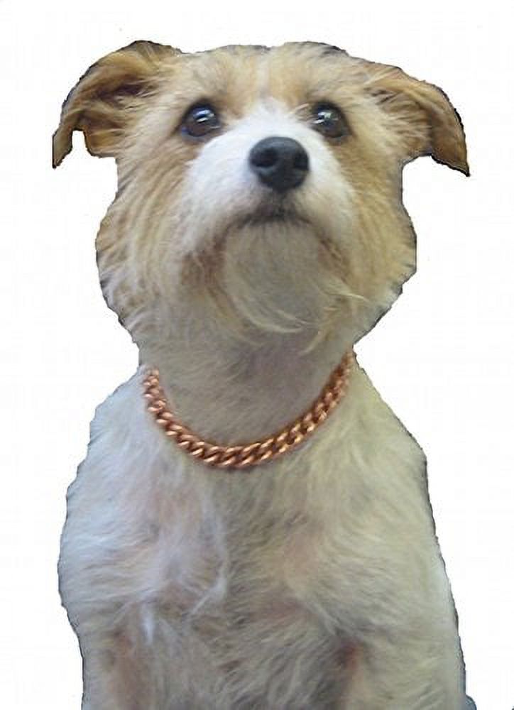 Copper Magnetic Therapy Dog Collars Made to measure in Solid Copper with Magnets (14 inches)
