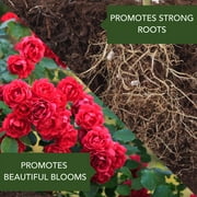BioAdvanced All In One Rose & Flower Care 4lb Granule Fertilize and Protect