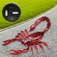 thumbnail image 4 of Control remoto USB Zulema Juguete Escorpión RC 13x16 cm, 4 of 8