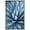 WHITE, variant on wall26 Framed Canvas Print Wall Art Blue Pastel Agave Desert Cactus Succulent Nature Wilderness Photography Realism Floral Botanical Multicolor for Living Room, Bedroom, Office - 16"x24" Na