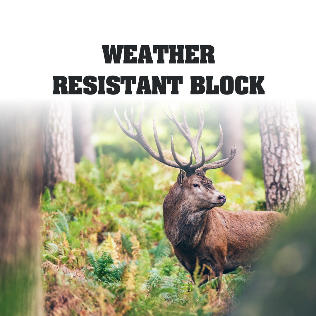 Manna Pro Deer and Wild Game Block - 20lb