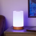 NBG Friendship LED Color Changing Table Lamp with AC Cord, Touch
