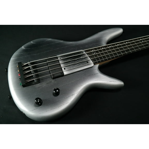 Ibanez Gary Willis Signature 5str Electric Bass w/Bag - Silver Wave Burst Flat - 541