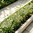 thumbnail image 7 of Peony Cages and Supports, Heavy Duty Metal Grow Through plant support flower hoops, sturdy plant cages for outdoor garden peony hydrangea plants 1pcs, 7 of 7