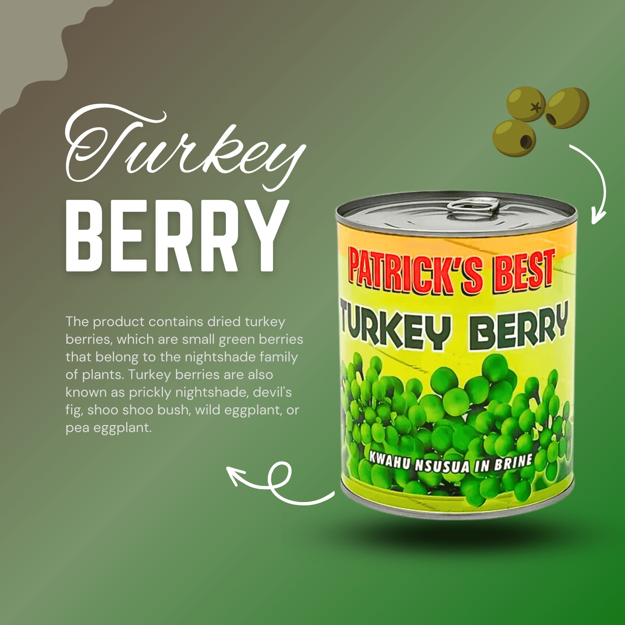 Patrick's Best Turkey Berry-800g-Rich In Flavor Turkey Berry
