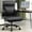 Black, variant on Dhole Executive Ergonomic Office Chair - High Back Mesh Desk Chair with Lumbar Support, 4D Armrests, Tilt Function & Breathable Mesh for Home Office (Black)