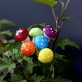thumbnail image 5 of Sunxin Desktop Ornament 8Pcs Mini Potted Plants Decor Colorful Ornaments Miniature Foam Figurines Craft for Garden Decor, 8* Simulated Mushrooms, 5 of 8