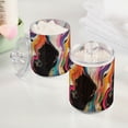 thumbnail image 2 of Yayeee 2 Pack Qtip Holder Bathroom Cotton Swab Canister with Lid Clear Dispenser Set, Colorful Black, 2 of 6