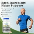 thumbnail image 6 of RidgeCrest Herbals ClearLungs Sport, Pre-Workout and Recovery Supplement for Muscle Endurance, Oxygen Intake and Lung Support Formula with Cordyceps, Rhodiola, Eleuthero  (60 Vegan Caps, 30 Serv), 6 of 7
