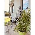 thumbnail image 2 of Gamexcel 5.5ft Halloween Skeleton with Movable Joints, Realistic Bones Prop for Yard, Lawn, or Haunted House Decor, 2 of 8