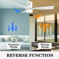 thumbnail image 5 of Smaair 48" 3 Blades White Low Profile Indoor Smart Wifi Ceiling Fan with Dimmable LED Light and Remote, 5 of 9
