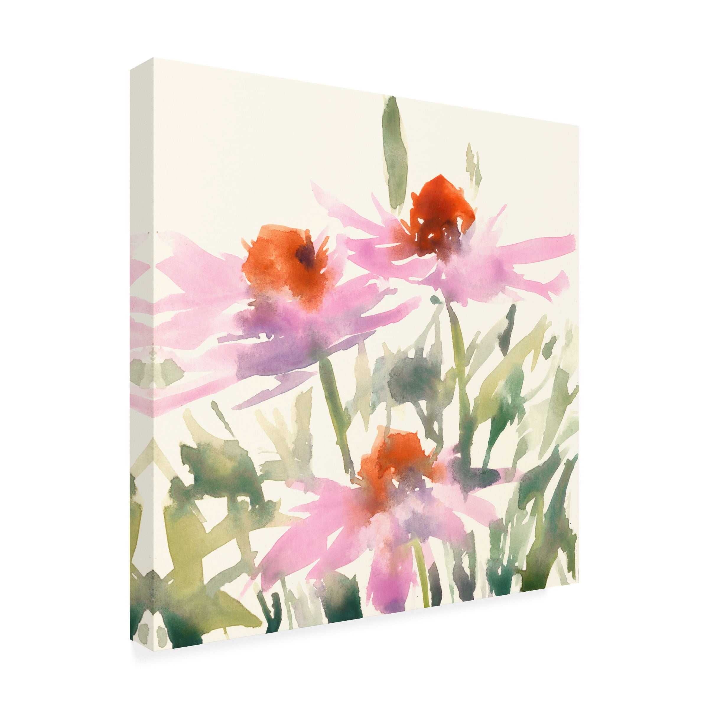 Samuel Dixon 'Daisy Garden Views I' Outdoor Canvas