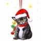thumbnail image 3 of Colgante de Gato para Árbol de Navidad, Divertido Adorno Acrílico, Colorido Adorno Navideño, Ideal para Interiores y Exteriores, Regalo para Fiestas Navideñas, Multitarea para El Hogar, Diseño de Una, 3 of 3