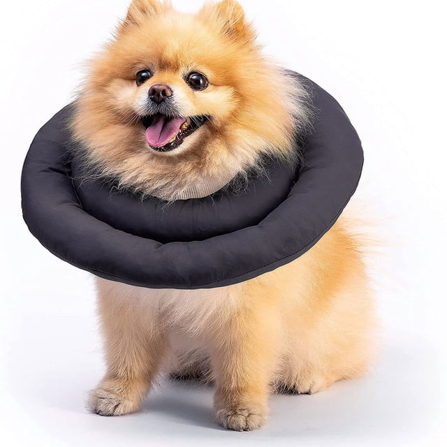 Collier de Récupération pour Animaux de Compagnie Doux pour Chiens Chats Protection 360° Matériau en Nylon Sangle Réglable Adapté aux Races pour Pugs Français pour Éviter de Lécher les Plaies