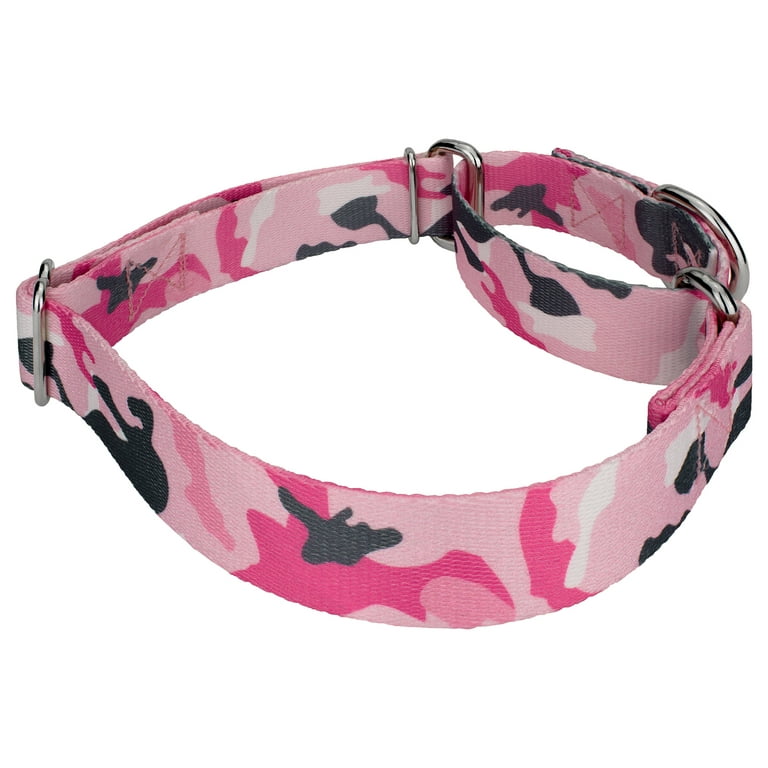 Extra small dog collars walmart cheap